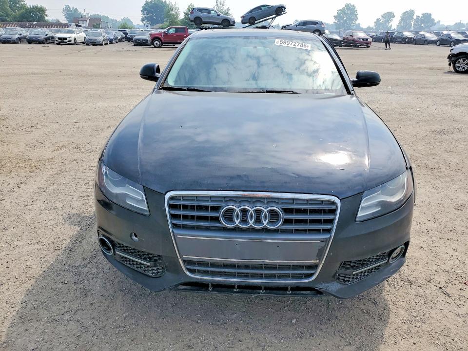 Продаж на аукціоні авто 2009 Audi A4, vin: WAUJF68K09N059266, номер лоту: 59972786