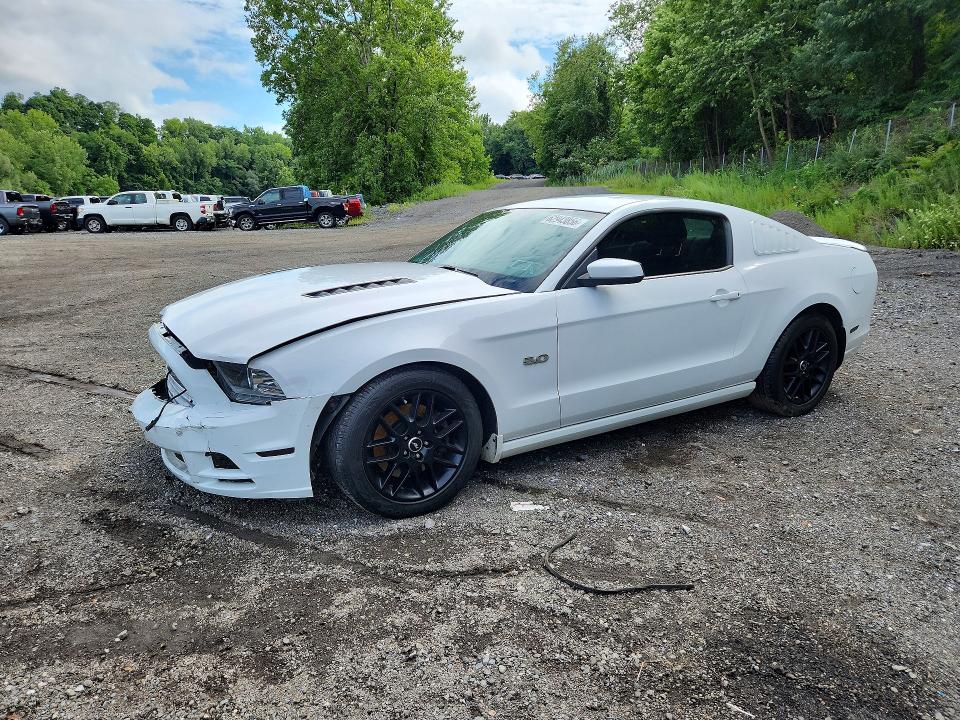 2014 Ford Mustang მანქანა იყიდება აუქციონზე, vin: 1ZVBP8CF9E5286294, აუქციონის ნომერი: 62943856