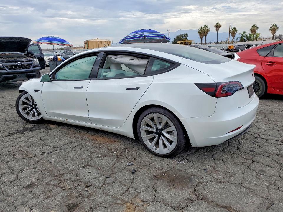 Продаж на аукціоні авто 2023 Tesla Model 3, vin: 5YJ3E1EA7PF599996, номер лоту: 61408926