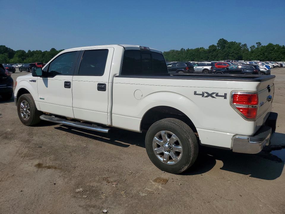 2013 Ford F150 მანქანა იყიდება აუქციონზე, vin: 1FTFW1ET8DFB18558, აუქციონის ნომერი: 61124836