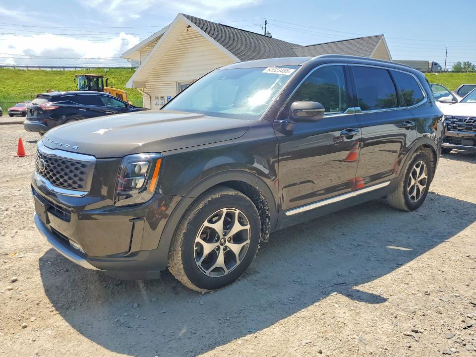 Продаж на аукціоні авто 2021 Kia Telluride, vin: 5XYP3DHC8MG137537, номер лоту: 60023486