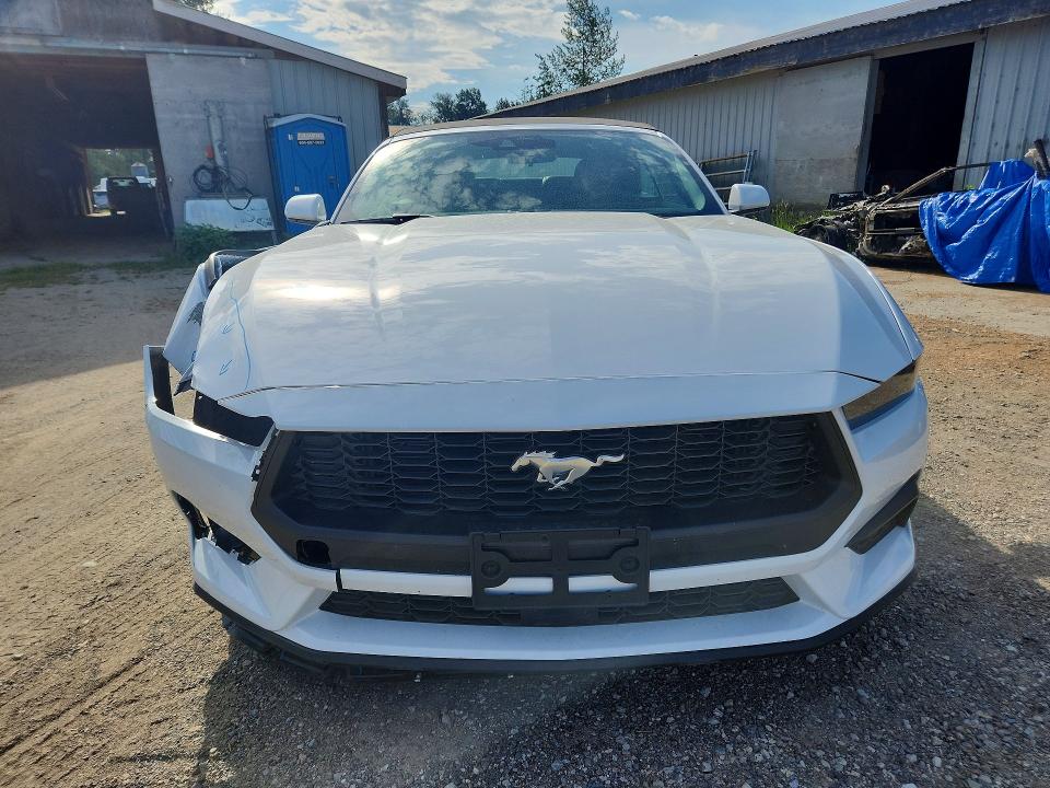Продаж на аукціоні авто 2026 Ford Mustang, vin: 1FAGP8UH1T5121013, номер лоту: 61669376