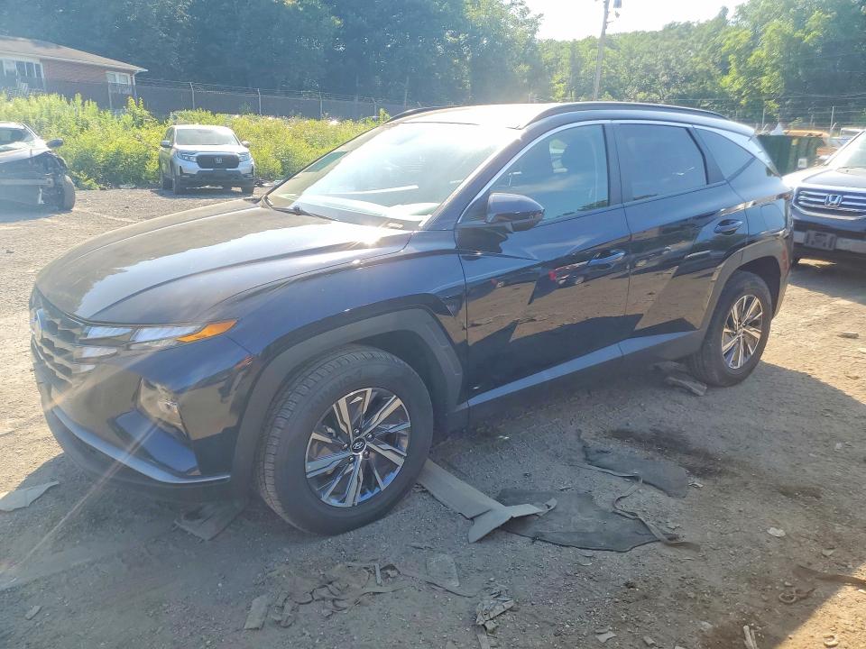 Auction sale of the 2024 Hyundai Tucson, vin: KM8JBCD13RU191658, lot number: 59875676