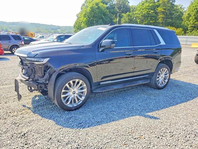 Продажа на аукционе авто 2024 Cadillac Escalade, vin: 1GYS4BKL5RR203498, номер лота: 61529416
