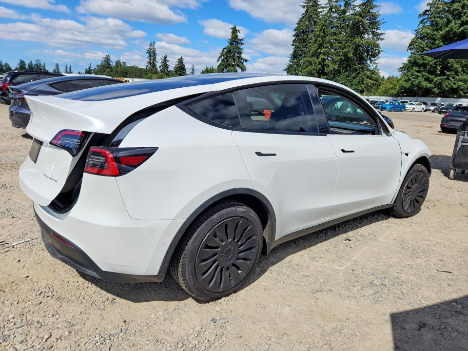2021 Tesla Model  Y მანქანა იყიდება აუქციონზე, vin: 5YJYGDEE7MF153685, აუქციონის ნომერი: 61488066