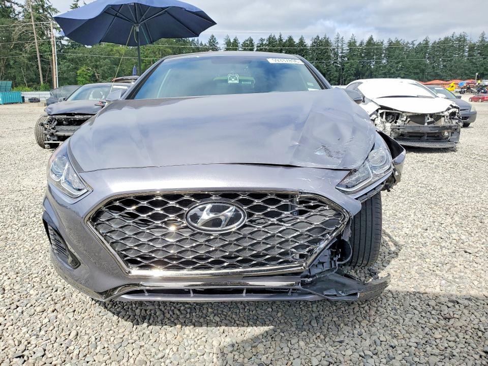 2019 Hyundai Sonata მანქანა იყიდება აუქციონზე, vin: 5NPE34AF1KH812923, აუქციონის ნომერი: 59337896