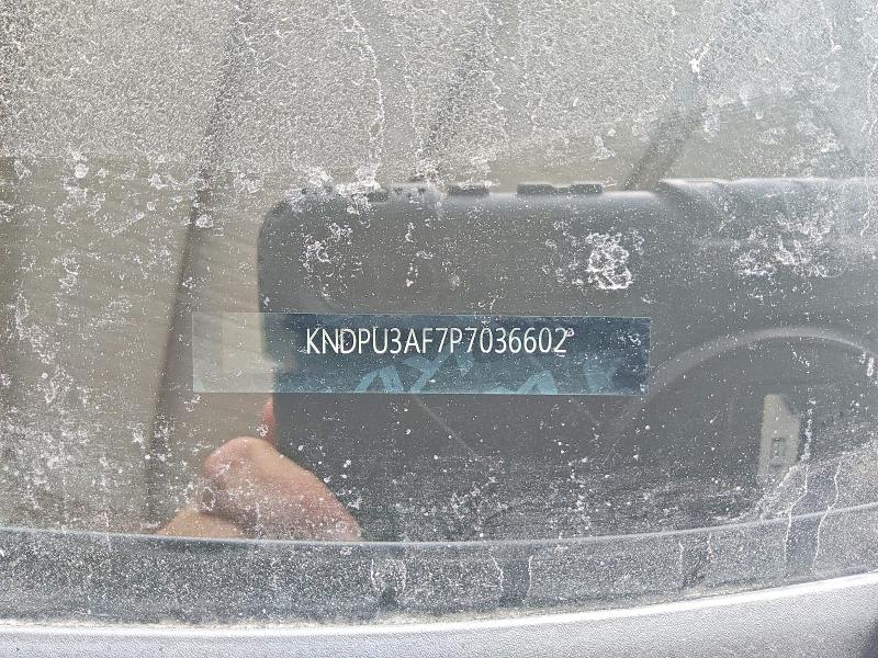Продаж на аукціоні авто 2023 Kia Sportage, vin: KNDPU3AF7P7036602, номер лоту: 59368286