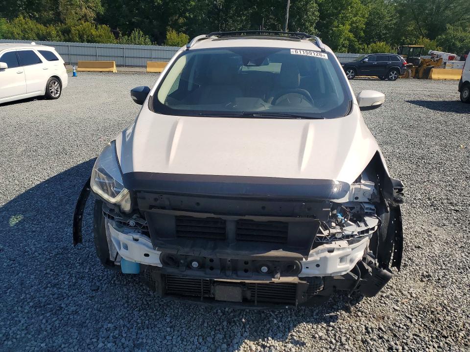 Продаж на аукціоні авто 2019 Ford Escape, vin: 1FMCU0J98KUA58704, номер лоту: 61159126