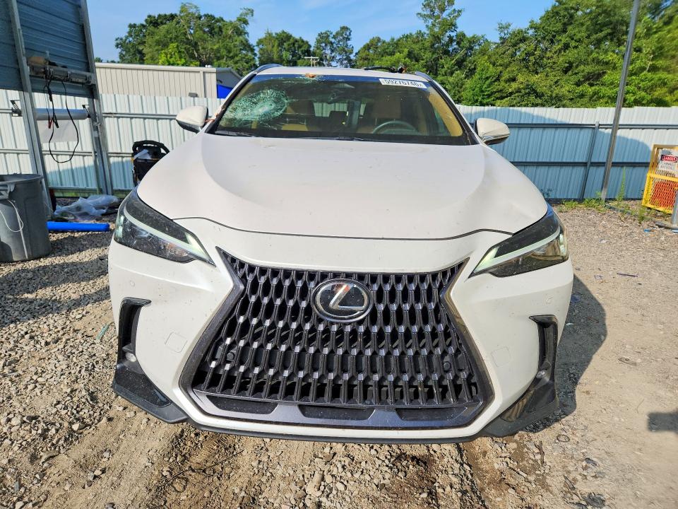 Aukcja sprzedaży 2025 Lexus Nx, vin: 2T2GGCEZ8SC077254, numer aukcji: 59276746