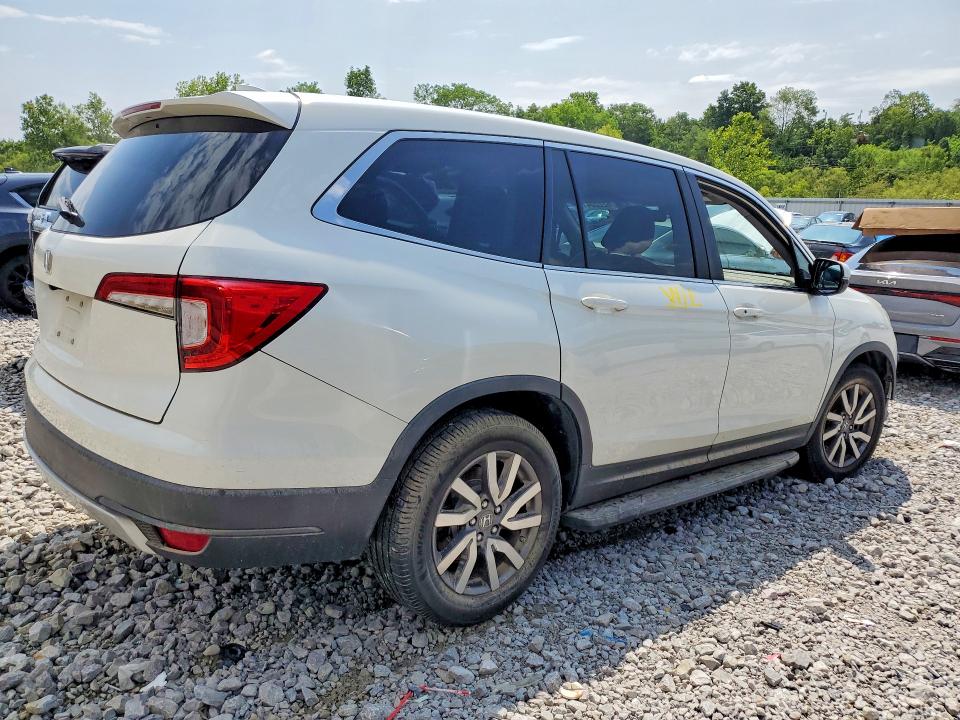 62220416 :رقم المزاد ، 5FNYF5H36KB025566 vin ، 2019 Honda Pilot مزاد بيع