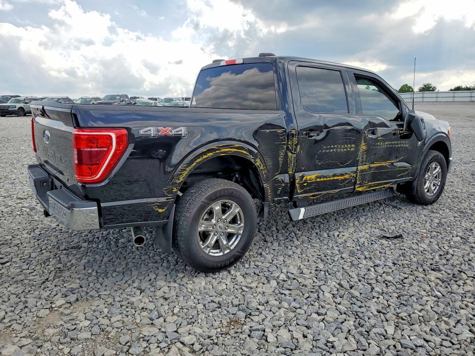61916986 :رقم المزاد ، 1FTFW1E51MKF13366 vin ، 2021 Ford F150 مزاد بيع