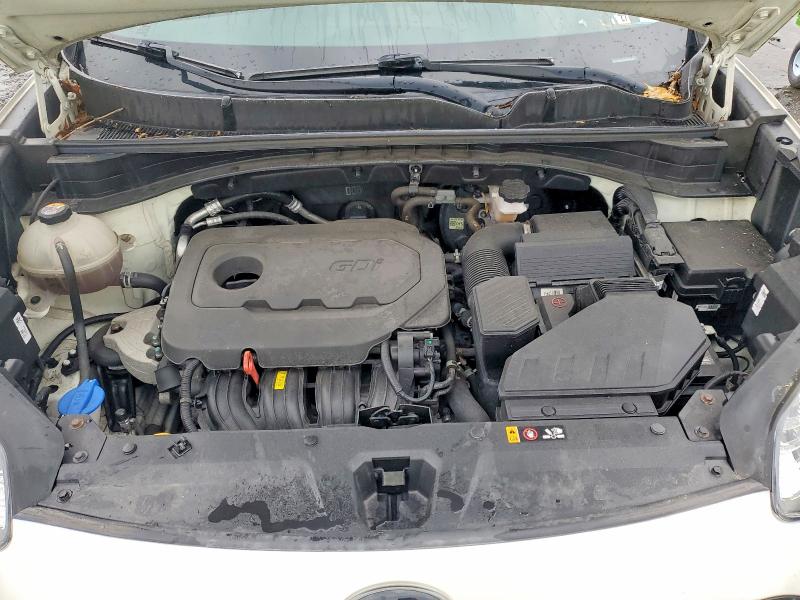 2022 Kia Sportage მანქანა იყიდება აუქციონზე, vin: KNDP6CAC3N7951539, აუქციონის ნომერი: 62429006