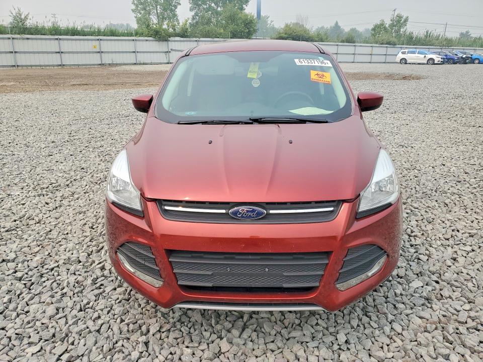 2016 Ford Escape მანქანა იყიდება აუქციონზე, vin: 1FMCU0G72GUA18924, აუქციონის ნომერი: 61337196