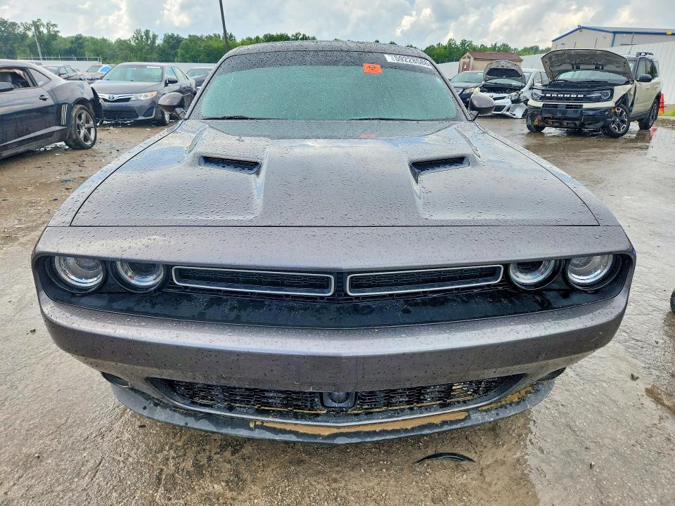 Продаж на аукціоні авто 2017 Dodge Challenger, vin: 2C3CDZAG4HH507867, номер лоту: 59228586