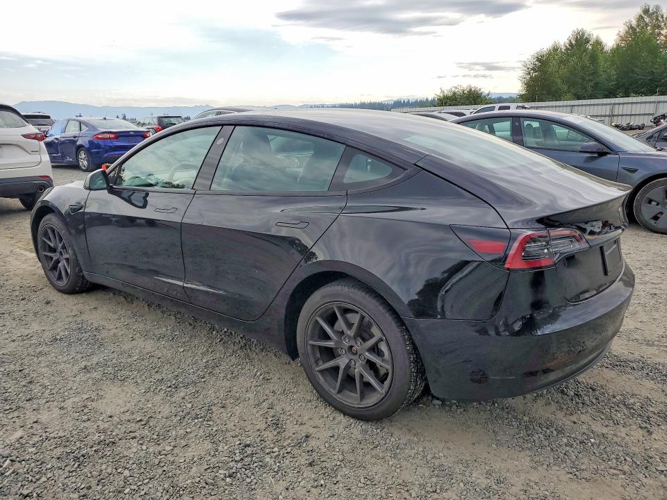 2023 Tesla Model 3 მანქანა იყიდება აუქციონზე, vin: 5YJ3E1EA5PF455847, აუქციონის ნომერი: 61360056