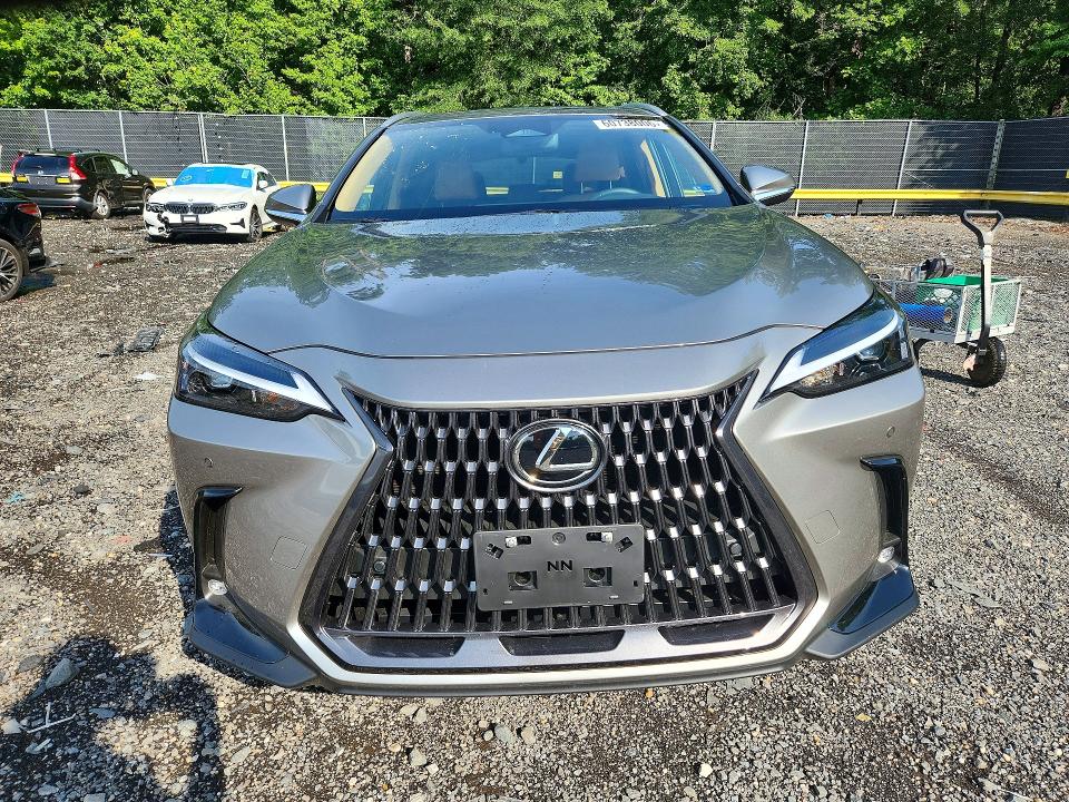 2026 Lexus Nx მანქანა იყიდება აუქციონზე, vin: 2T2GGCEZ7TC119365, აუქციონის ნომერი: 60738006