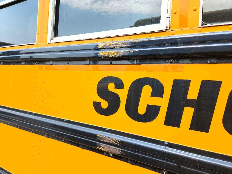 Auction sale of the 2016 Ic Corporation Re Series School, vin: 4DRBWAANXGB219291, lot number: 62043356
