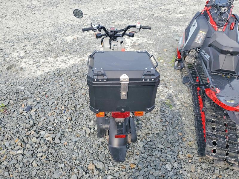 59137446 :رقم المزاد ، JH2AF5825PK900775 vin ، 2023 Honda Nps50 مزاد بيع