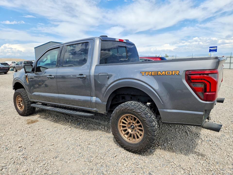 Продаж на аукціоні авто 2024 Ford F150, vin: 1FTFW4L89RFC16876, номер лоту: 79135785