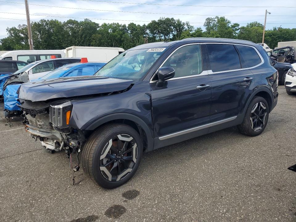 Aukcja sprzedaży 2025 Kia Telluride, vin: 5XYP6DGC2SG591496, numer aukcji: 62245066