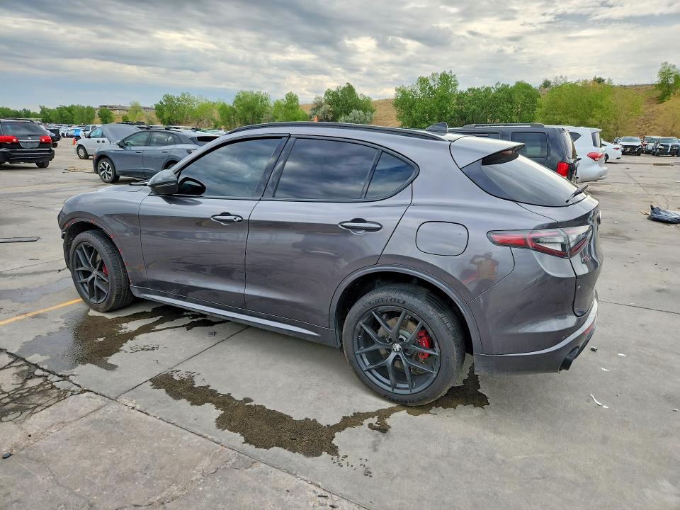 Продаж на аукціоні авто 2021 Alfa Romeo Stelvio, vin: ZASPAKBN4M7D09829, номер лоту: 62441636