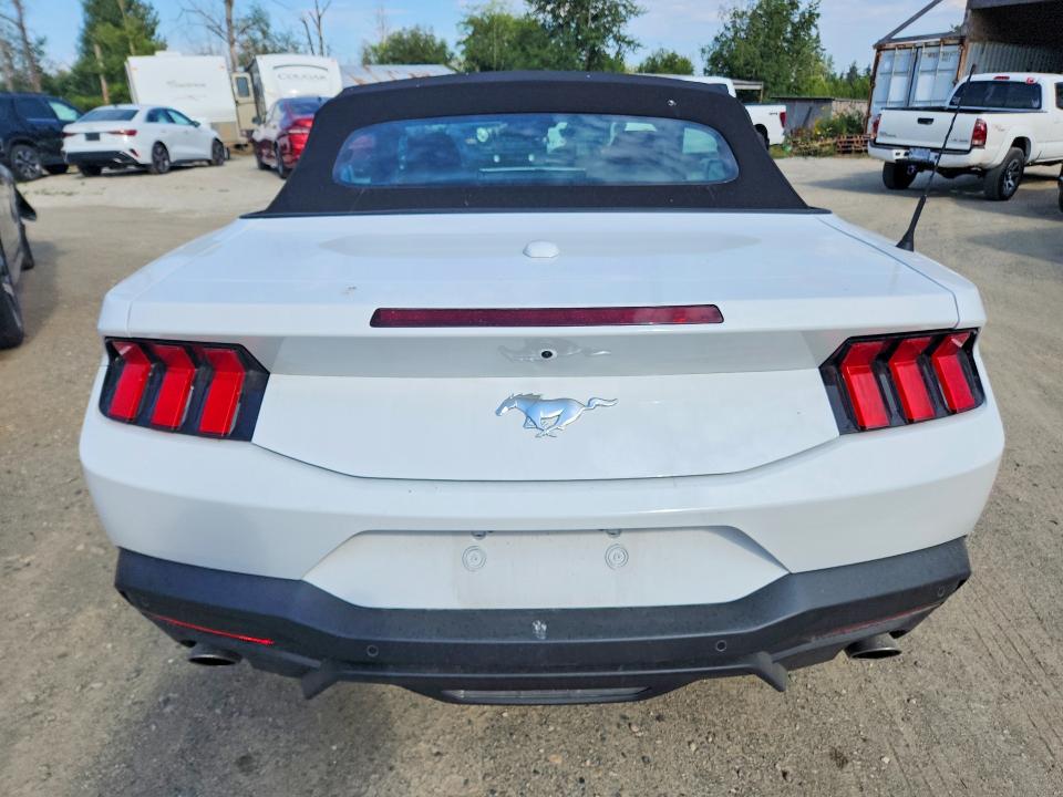 Продаж на аукціоні авто 2026 Ford Mustang, vin: 1FAGP8UH1T5121013, номер лоту: 61669376