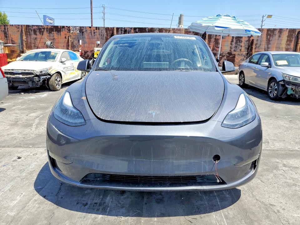 Продаж на аукціоні авто 2023 Tesla Model Y, vin: 7SAYGDEFXPF798797, номер лоту: 61596676