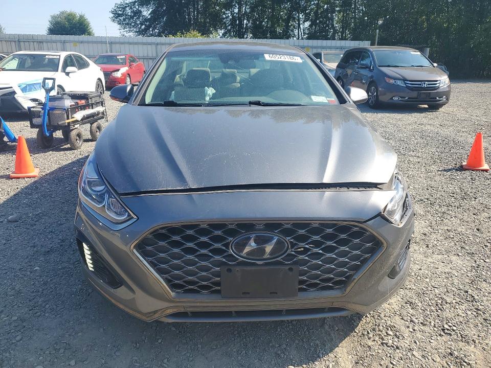 60523186 :رقم المزاد ، 5NPE34AF8KH731868 vin ، 2019 Hyundai Sonata مزاد بيع