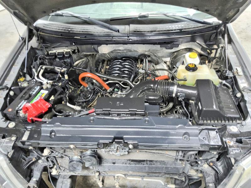 Aukcja sprzedaży 2014 Ford F150, vin: 1FTFW1CF4EKD42870, numer aukcji: 62262416