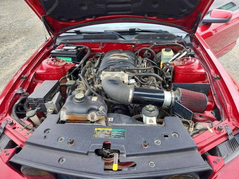 Продажа на аукционе авто 2005 Ford Mustang, vin: 1ZVFT82H255210254, номер лота: 58640346