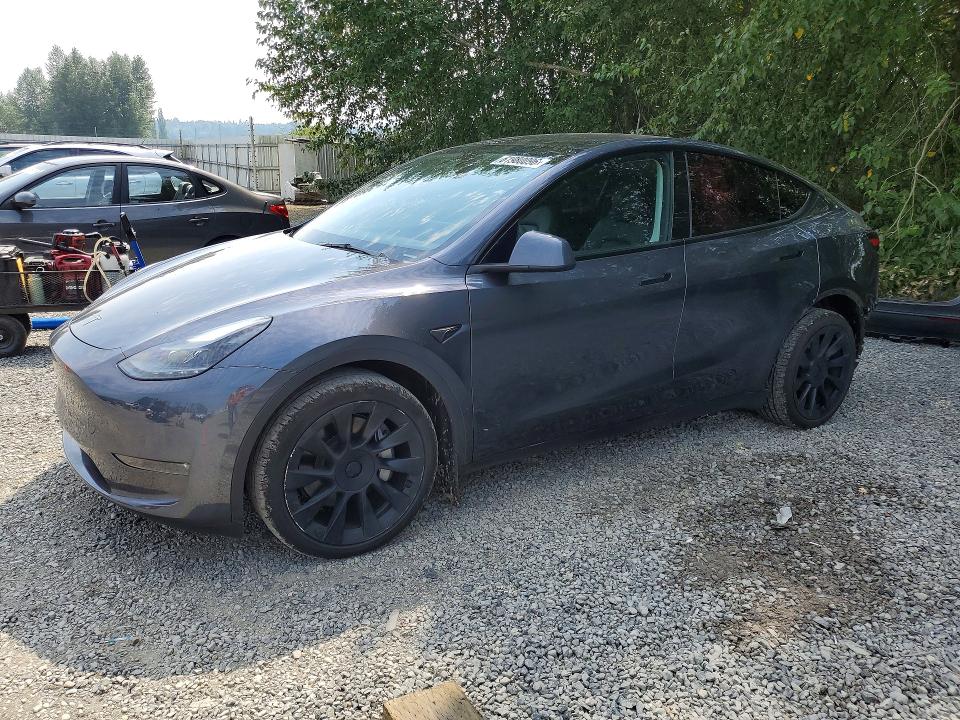 Продажа на аукционе авто 2023 Tesla Model Y, vin: 7SAYGDEEXPA166094, номер лота: 61980096