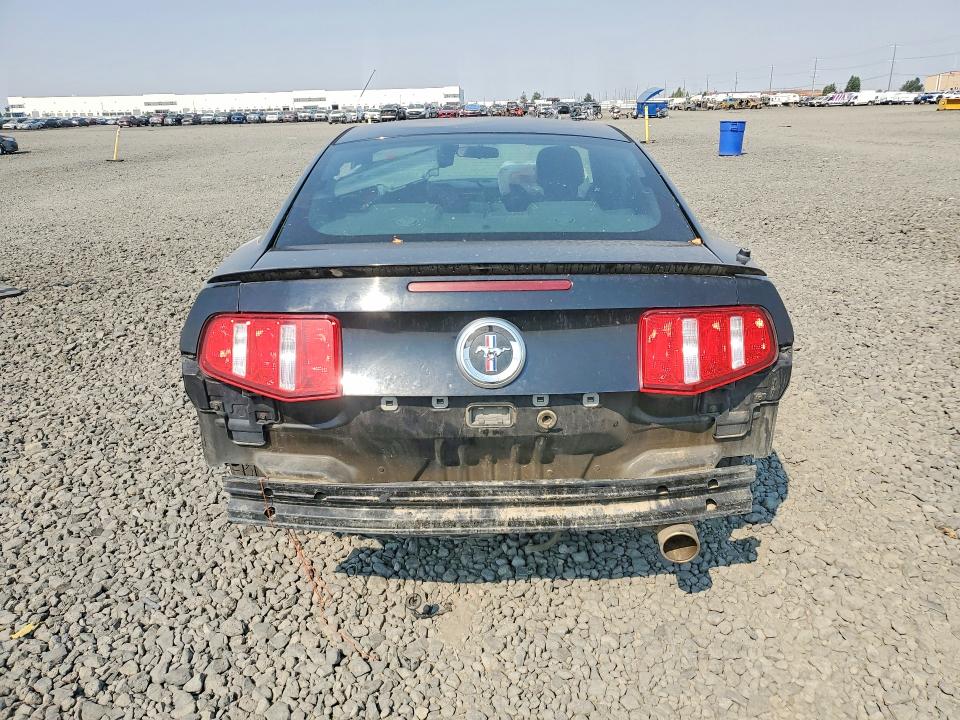 62637736 :رقم المزاد ، 1ZVBP8AN9A5176396 vin ، 2010 Ford Mustang مزاد بيع