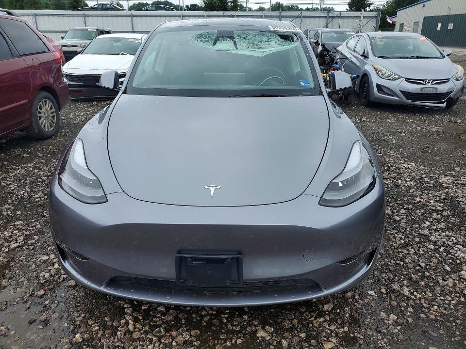 Продажа на аукционе авто 2025 Tesla Model Y, vin: 7SAYGDEEXSF262061, номер лота: 59336256