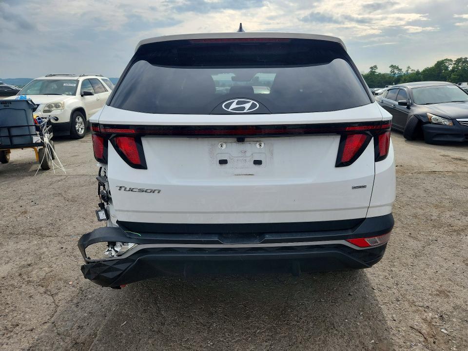 Продажа на аукционе авто 2024 Hyundai Tucson, vin: 5NMJBCDE1RH393591, номер лота: 60553626