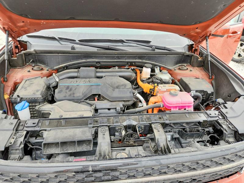 Auction sale of the 2025 Hyundai Santa Fe, vin: 5NMP5DG15SH030331, lot number: 60924966