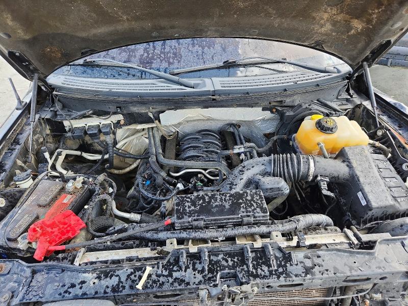 Продаж на аукціоні авто 2013 Ford F150, vin: 1FTFW1EF0DFD50498, номер лоту: 61719786
