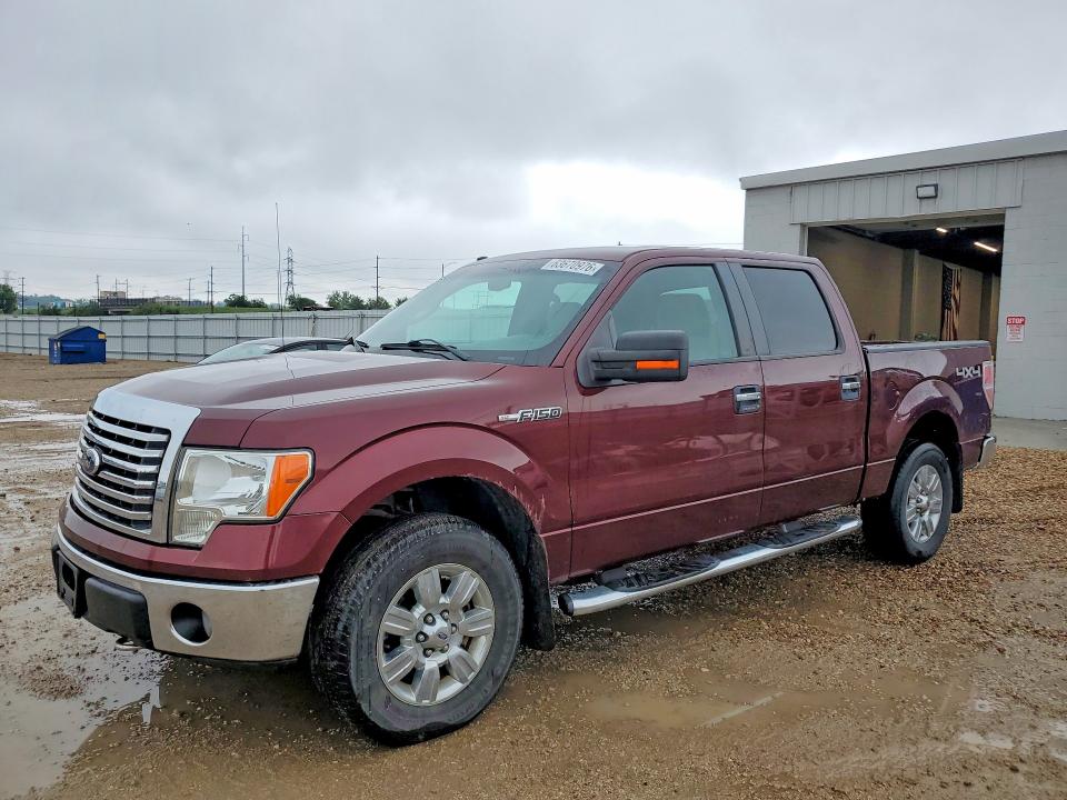 63670976 :رقم المزاد ، 1FTFW1EV8AKA76459 vin ، 2010 Ford F150 مزاد بيع
