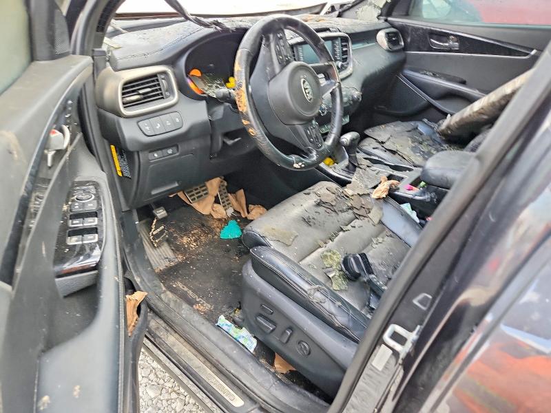 59693196 :رقم المزاد ، 5XYPKDA50GG163794 vin ، 2016 Kia Sorento مزاد بيع