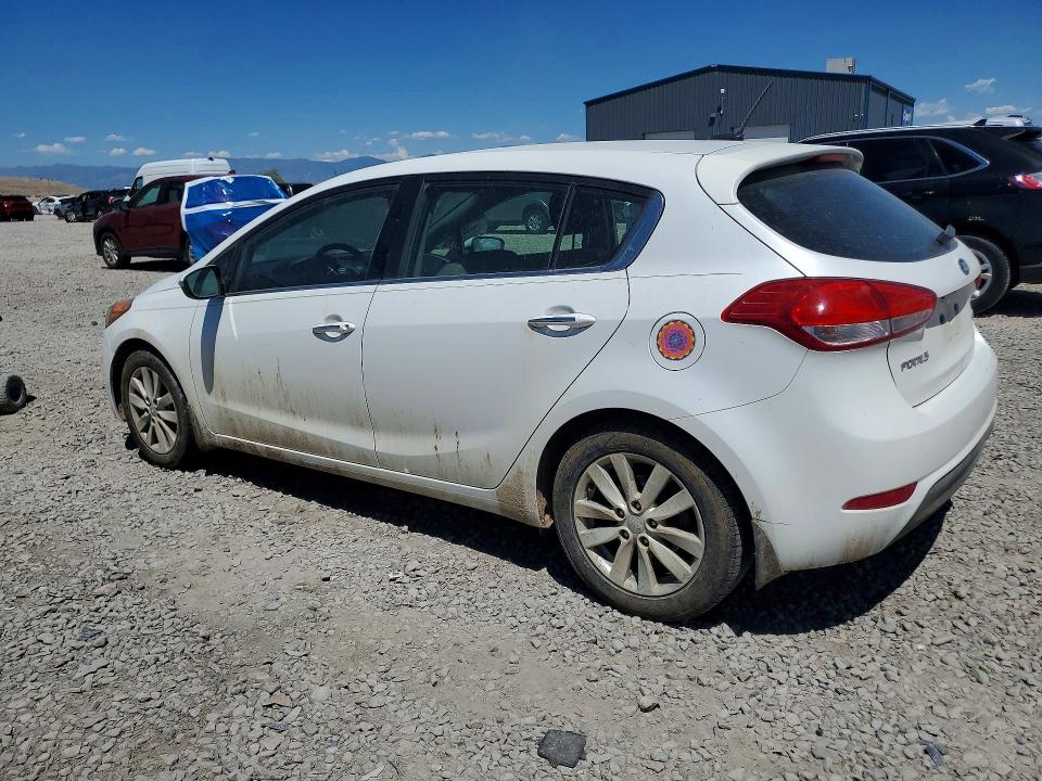 Aukcja sprzedaży 2014 Kia Forte, vin: KNAFX5A83E5171761, numer aukcji: 60610946