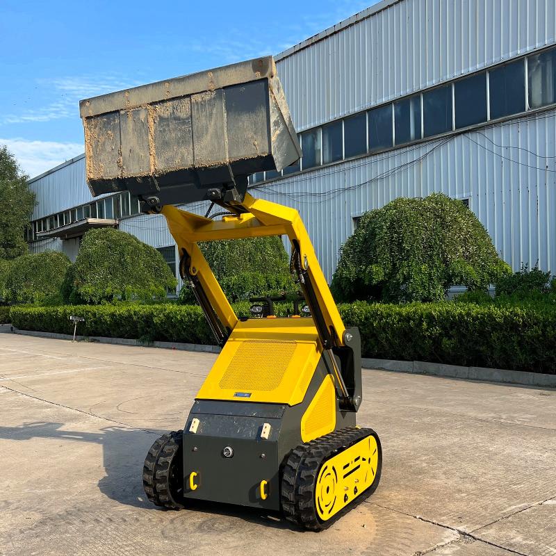 2026 Others 2026 Skid Steer With Tracks მანქანა იყიდება აუქციონზე, vin: 3898463, აუქციონის ნომერი: 62559226