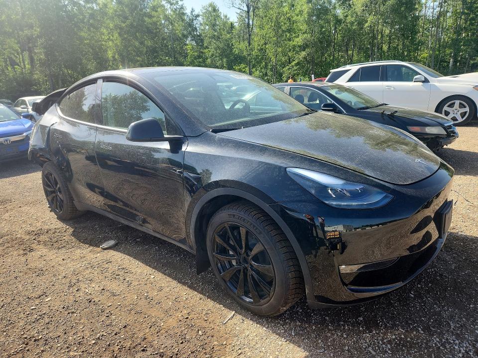 Продажа на аукционе авто 2025 Tesla Model Y, vin: 7SAYGDEE0SF296462, номер лота: 85448765