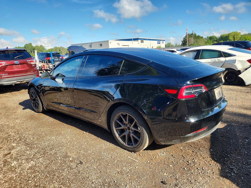 59566986 :رقم المزاد ، 5YJ3E1EA0PF507093 vin ، 2023 Tesla Model 3 مزاد بيع