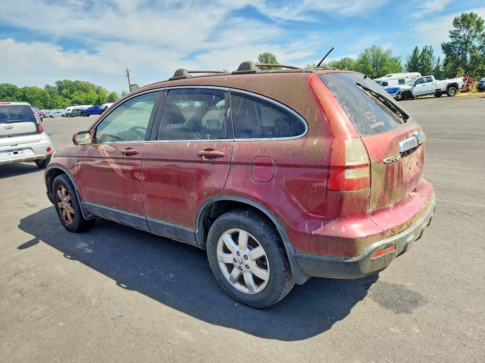 Продаж на аукціоні авто 2007 Honda Cr-v, vin: JHLRE48787C122585, номер лоту: 60224586