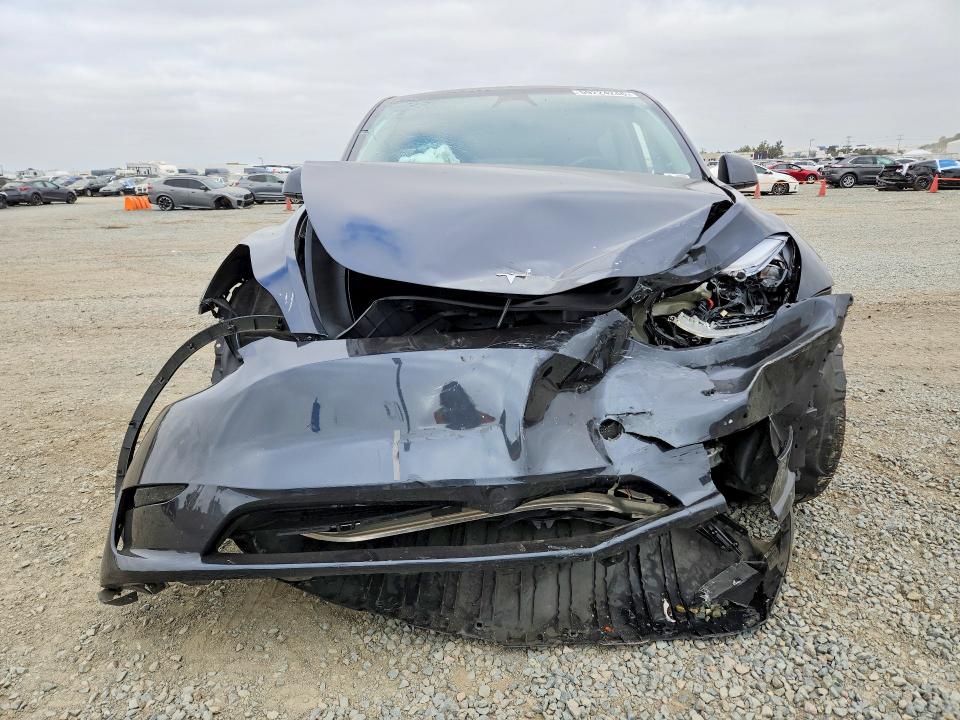 Продаж на аукціоні авто 2024 Tesla Model Y, vin: 7SAYGDED8RF211336, номер лоту: 59224246