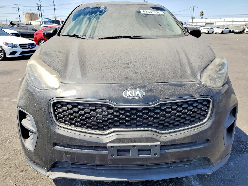 Auction sale of the 2019 Kia Sportage, vin: KNDPM3AC9K7613712, lot number: 62647356