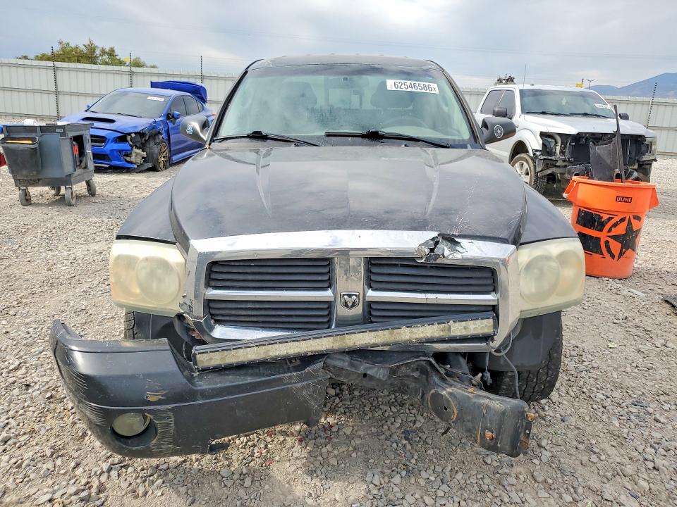 2007 Dodge Dakota მანქანა იყიდება აუქციონზე, vin: 1D7HW28P87S253960, აუქციონის ნომერი: 62546586