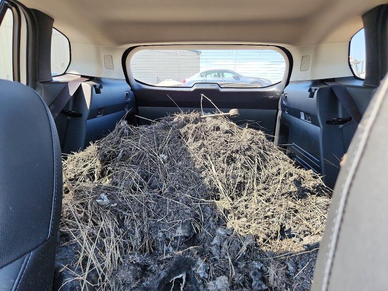 Продаж на аукціоні авто 2025 Mazda Cx-50, vin: 7MMVABDYXSN328045, номер лоту: 59715426