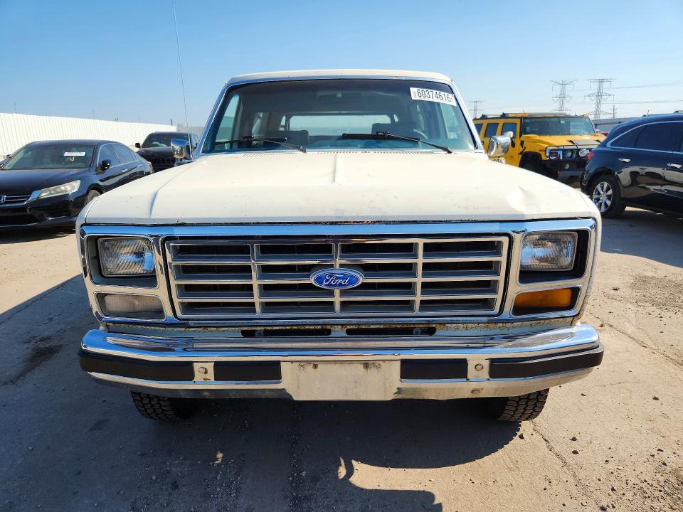 Продажа на аукционе авто 1983 Ford Bronco, vin: 1FMEU15G9DLA48294, номер лота: 60374616
