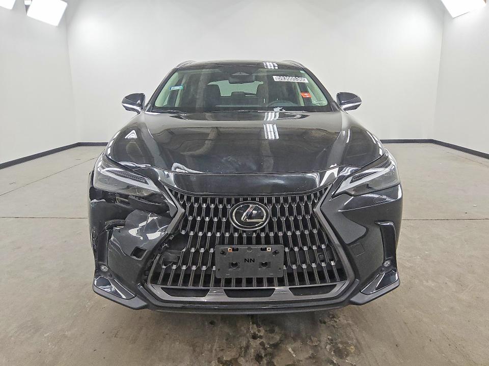 2024 Lexus Nx მანქანა იყიდება აუქციონზე, vin: 2T2HGCEZ4RC048672, აუქციონის ნომერი: 59300536