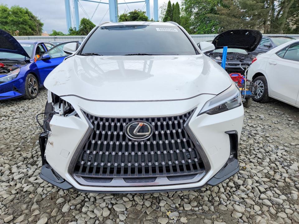 62852346 :رقم المزاد ، 2T2AGCEZXSC071493 vin ، 2025 Lexus Nx 350 مزاد بيع